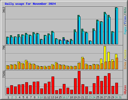 Daily usage for November 2024