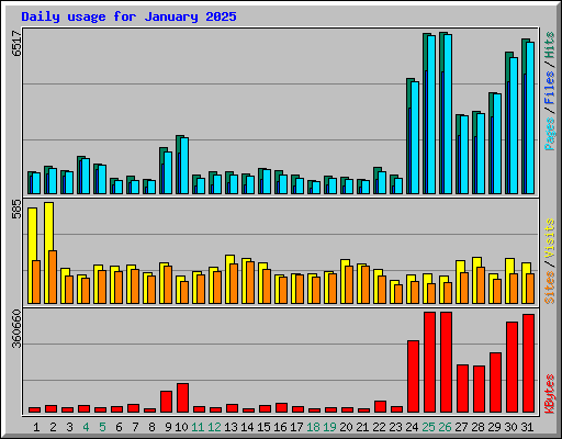 Daily usage for January 2025