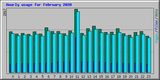 Hourly usage for February 2020