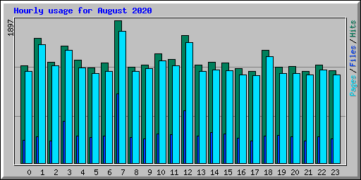 Hourly usage for August 2020