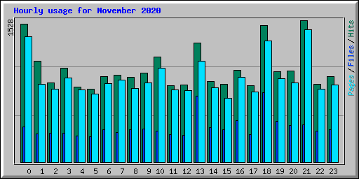 Hourly usage for November 2020