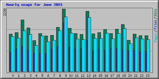 Hourly usage for June 2021