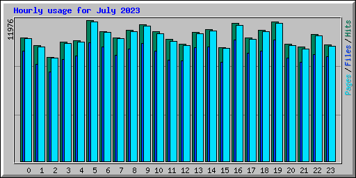 Hourly usage for July 2023