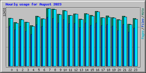 Hourly usage for August 2023