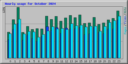 Hourly usage for October 2024