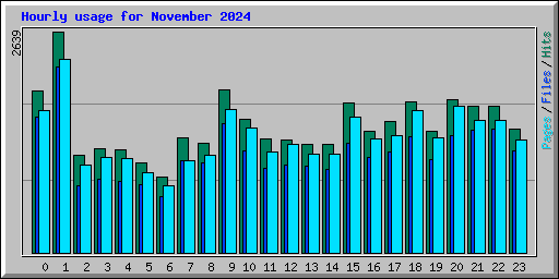 Hourly usage for November 2024