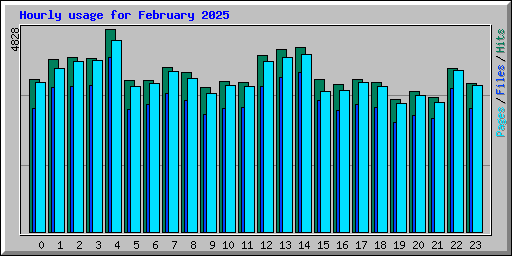 Hourly usage for February 2025