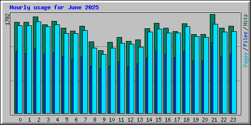 Hourly usage for June 2025